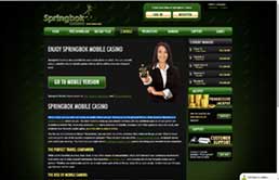 Springbok Casino VIP program