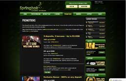 Springbok Casino Promotions