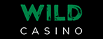 Logo Kasino Liar