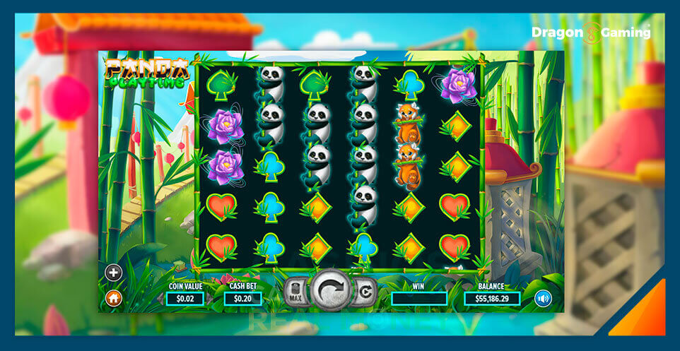 Image of Dragon Gaming Slot Game Panda Playtime