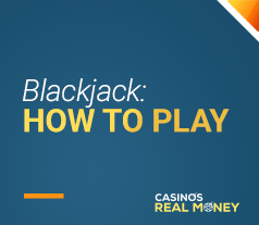 image of how to play blackjack