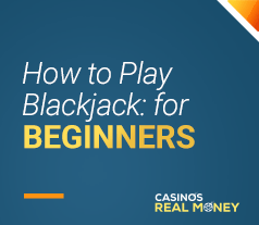 image of how to play blackjack for beginners