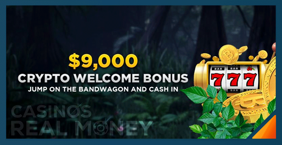 best crypto wild casino