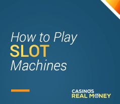 Image of How to Play Slot Machines For Beginners