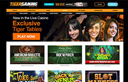 Image of Tiger Gaming Casino Home Page