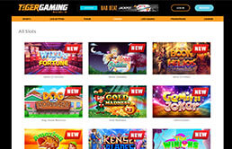 Image of Tiger Gaming Slot Games
