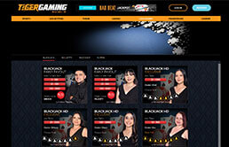 Image of Tiger Gaming Live Dealer Casino