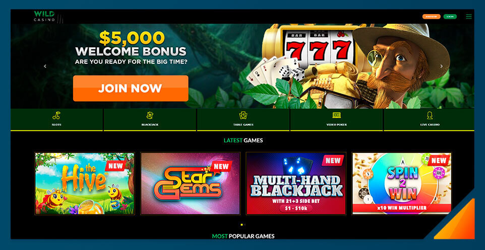 Image of Wild Casino -Best US Online Casino