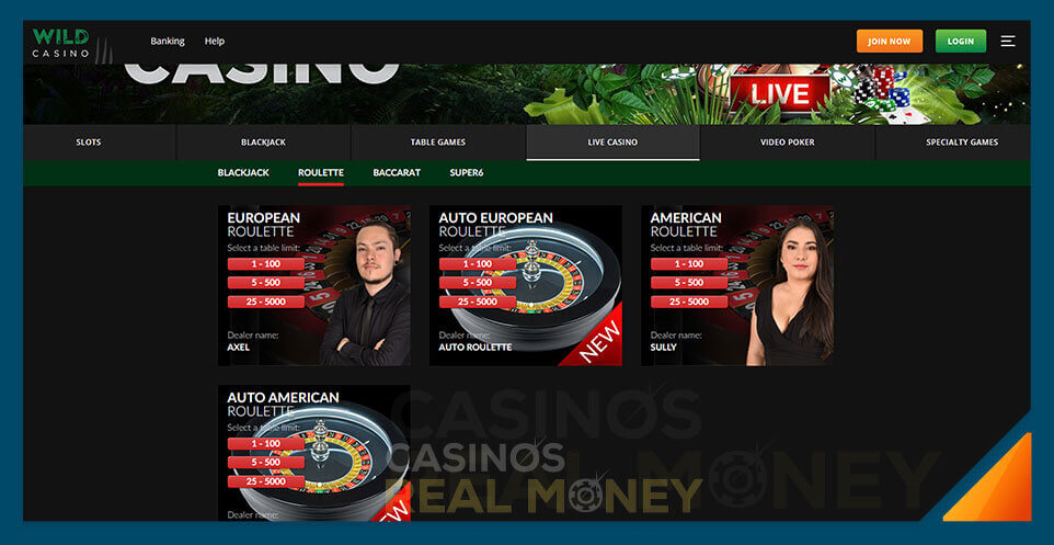 Image of Wild Casino Live Roulette Casino